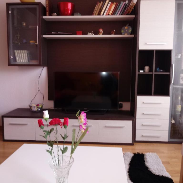 Apartments Stan - Apartman sa 1 Spavaćom Sobom - 12