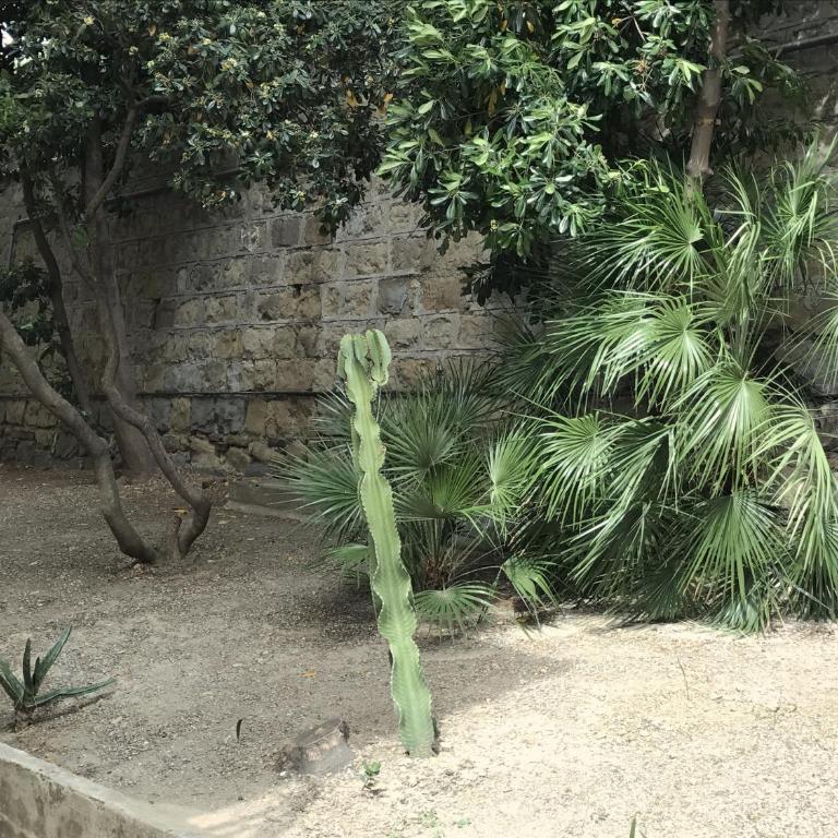 semeria103 - Appartamento con 2 Camere da Letto e Giardino Privato - 11