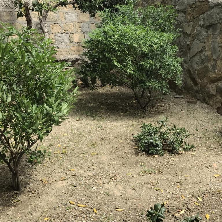 semeria103 - Appartamento con 2 Camere da Letto e Giardino Privato - 15