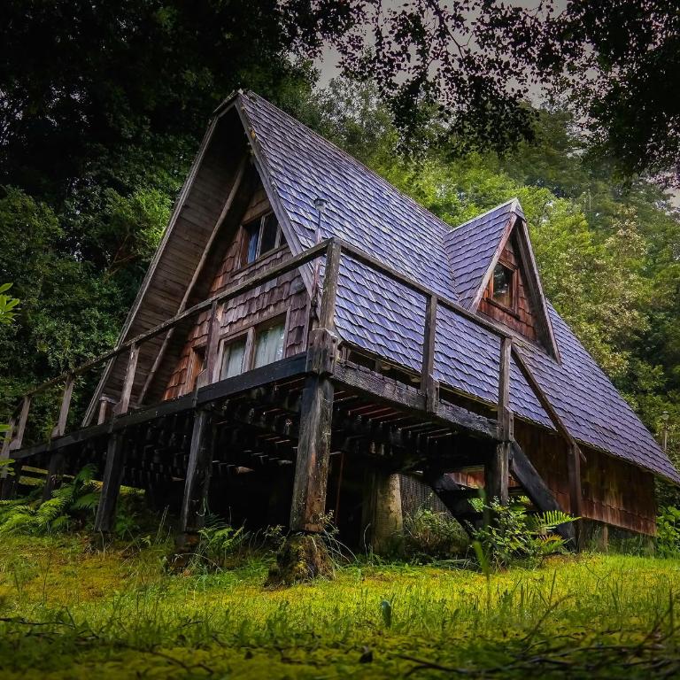Ralun Patagonia - Family Bungalow - 1