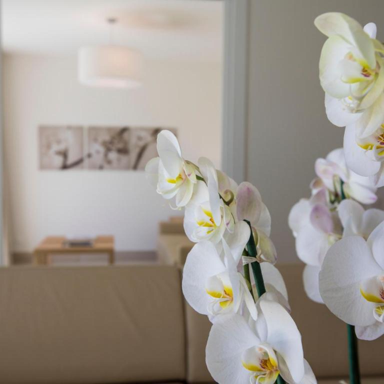 Delta Resort Apartments - Apartment - Ground Floor with Spa Access - 5
