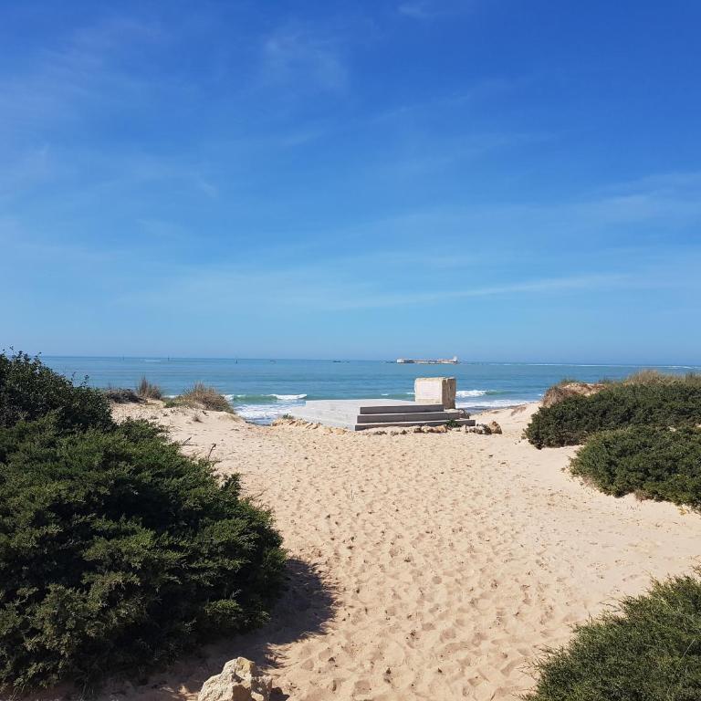 Sancti Petri Marinero - Apartamento de 2 dormitorios - 39