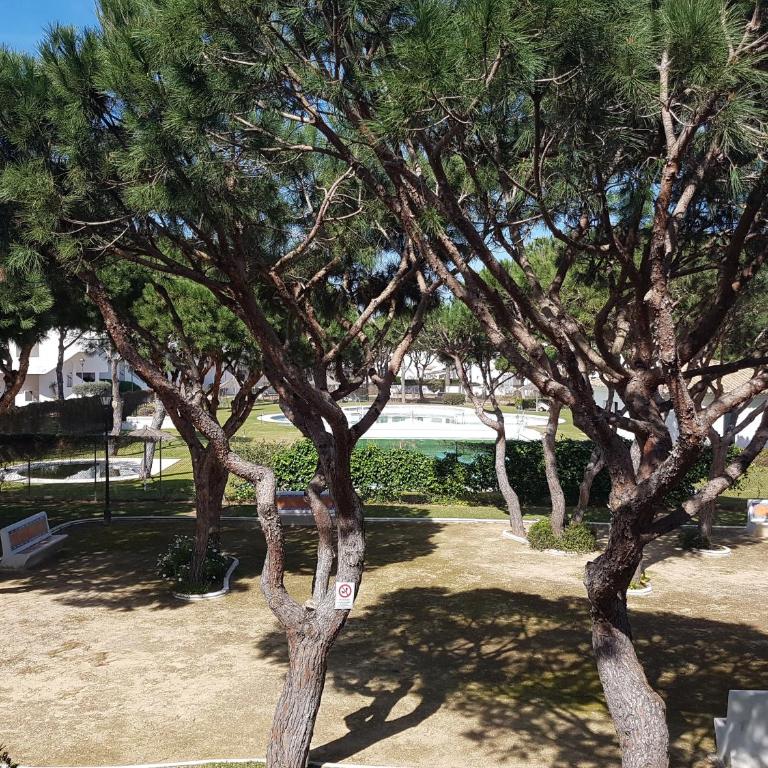 Sancti Petri Marinero - Apartamento de 2 dormitorios - 40