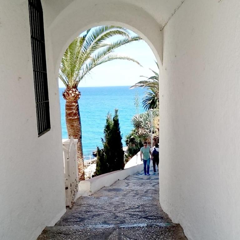 Central Nerja - Apartamento Estudio - 11
