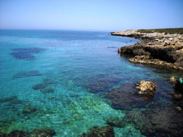 TramontiSulMare - Appartamento con 1 Camera da Letto - 19