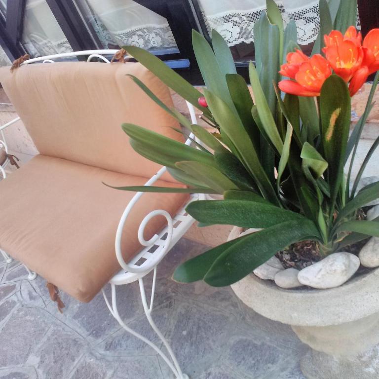 Hotel Orchidea - Camera Familiare - 36