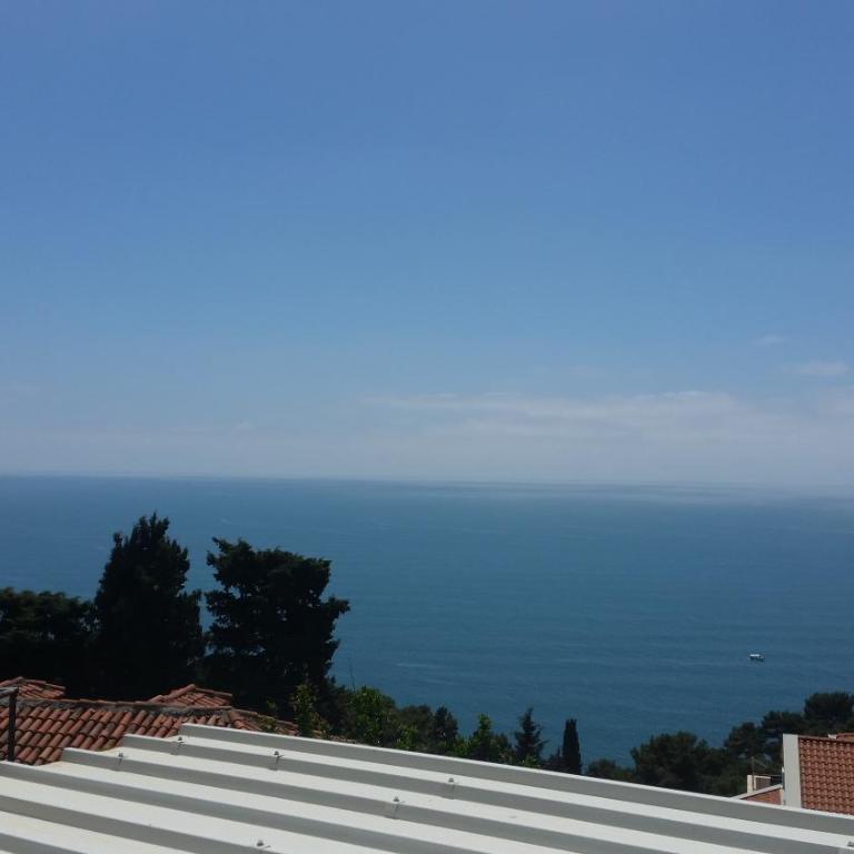 Apartments Popovic - Studio Apartment with Balcony and Sea View - 4