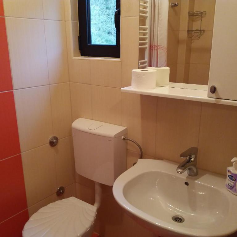 Guest House Majstorovic - Deluks Dvokrevetna Soba sa Bračnim Krevetom - 5