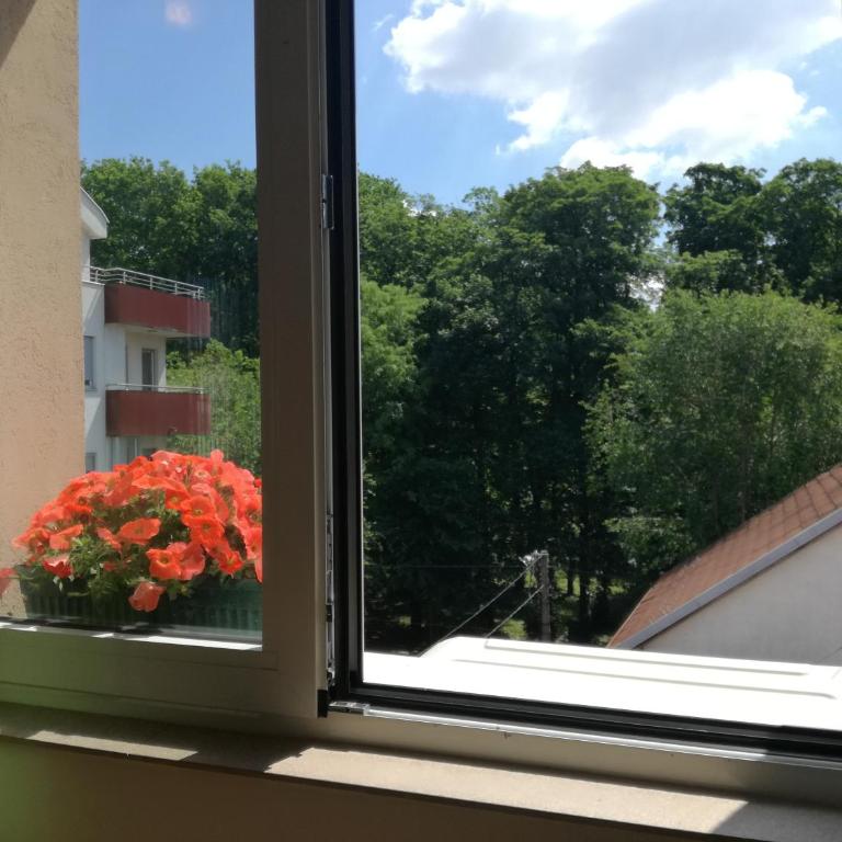 Shumice Apartment - Apartman sa 2 Spavaće Sobe - 28