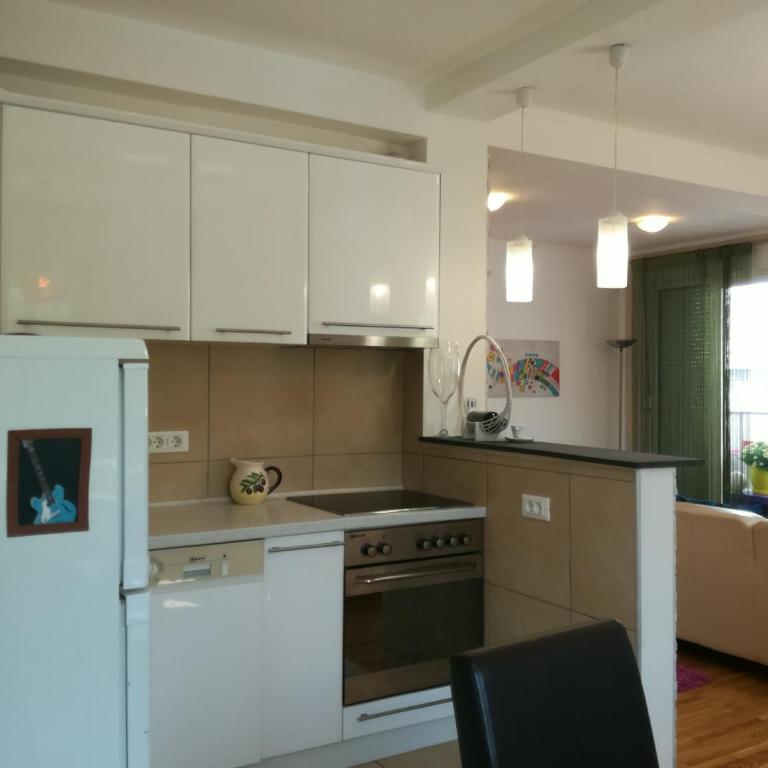 Shumice Apartment - Apartman sa 2 Spavaće Sobe - 49