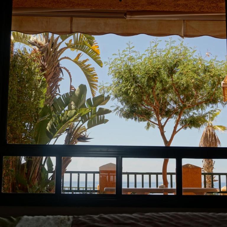 Apartamento Mascarat vistas al mar - Apartamento - Planta baja - 25
