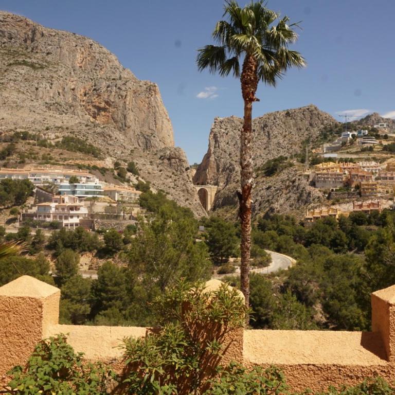 Apartamento Mascarat vistas al mar - Apartamento - Planta baja - 22