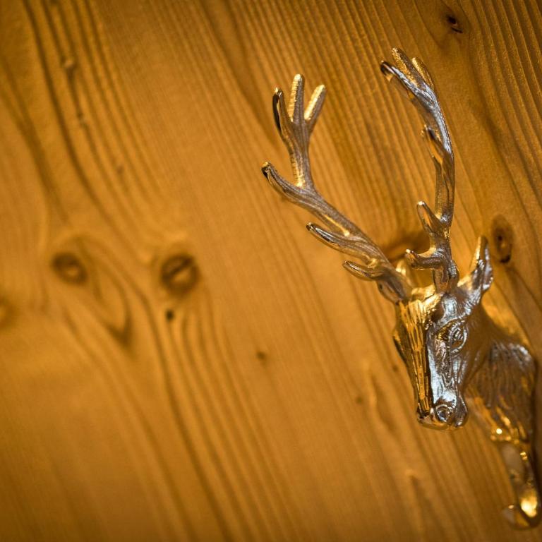 hubertus dolomites - Appartamento Chalet - 10