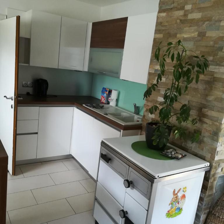 Ferienhaus Tüchler - Maison 3 Chambres - 17