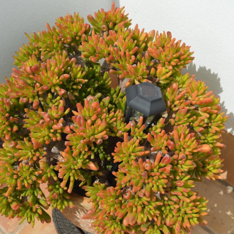 Apartamento El Mirador de Cadiz - Apartamento con terraza - 51