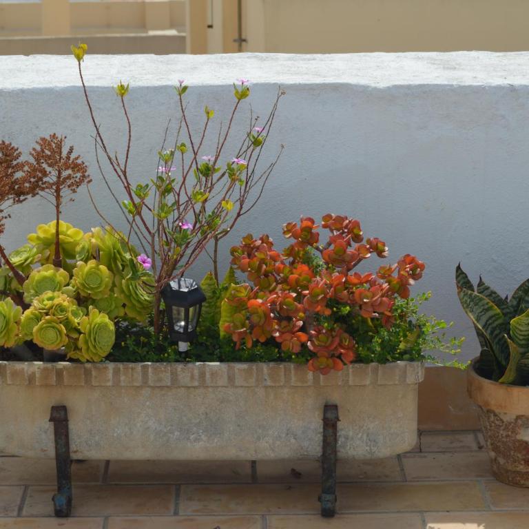 Apartamento El Mirador de Cadiz - Apartamento con terraza - 58