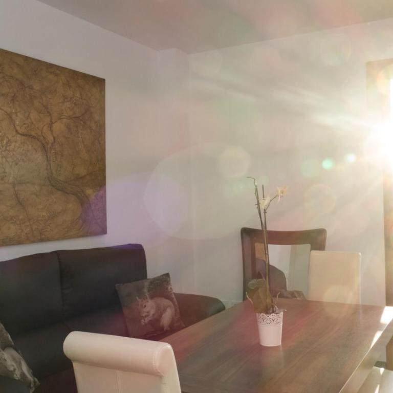 Apartamentos Turísticos Córdoba Califal - Apartamento Estudio - 15