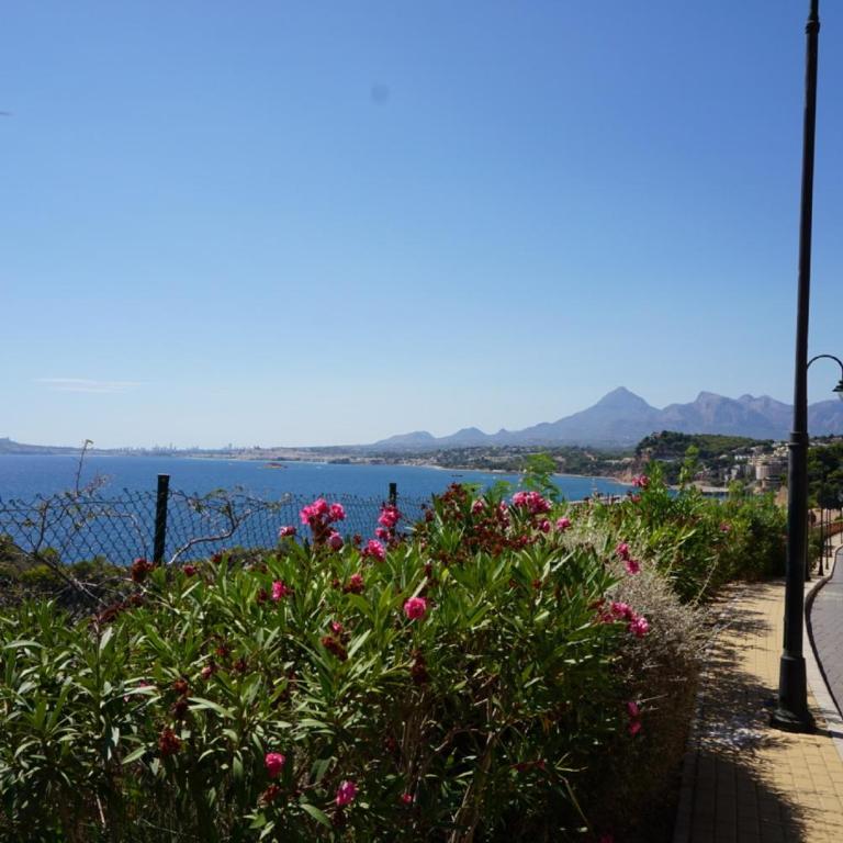 Apartamento Mascarat vistas al mar - Apartamento - Planta baja - 13