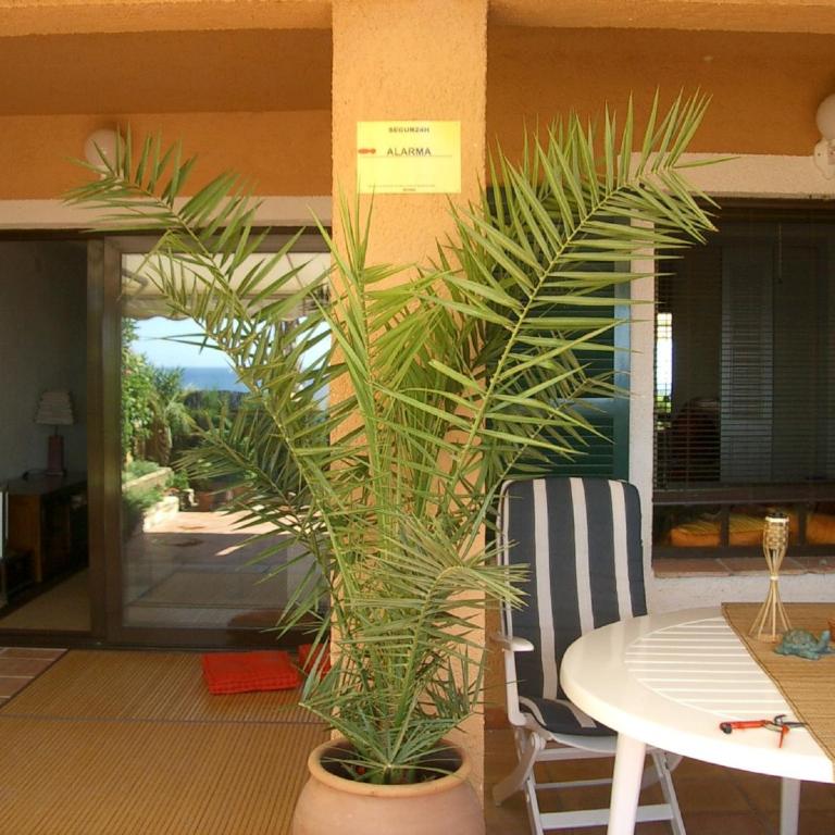 Apartamento Mascarat vistas al mar - Apartamento - Planta baja - 11