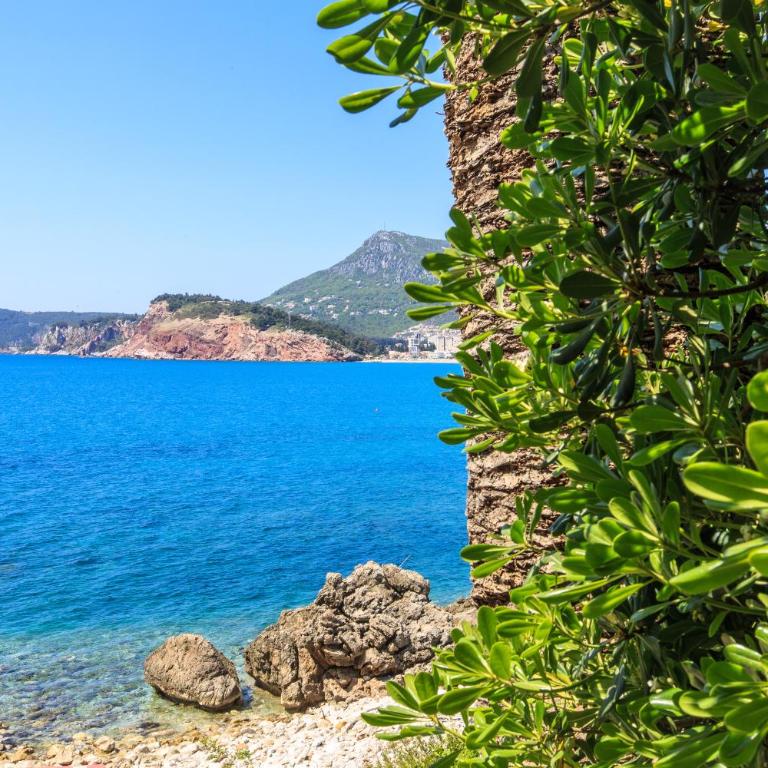 Apartmani Capri - Apartment with Sea View - 1