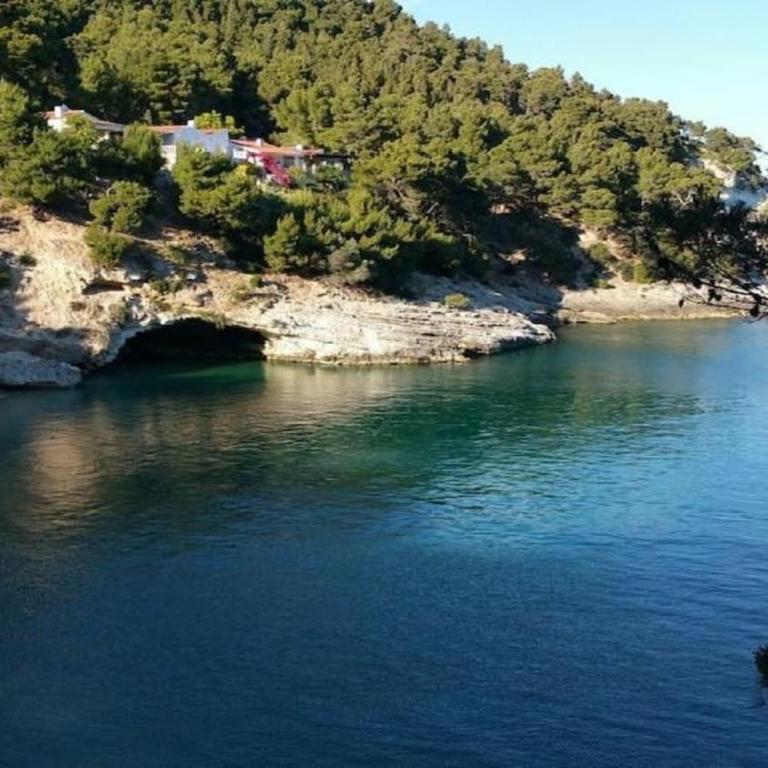 Villetta Danila Pugnochiuso Le Macine - Casa con 1 Camera da Letto - 57