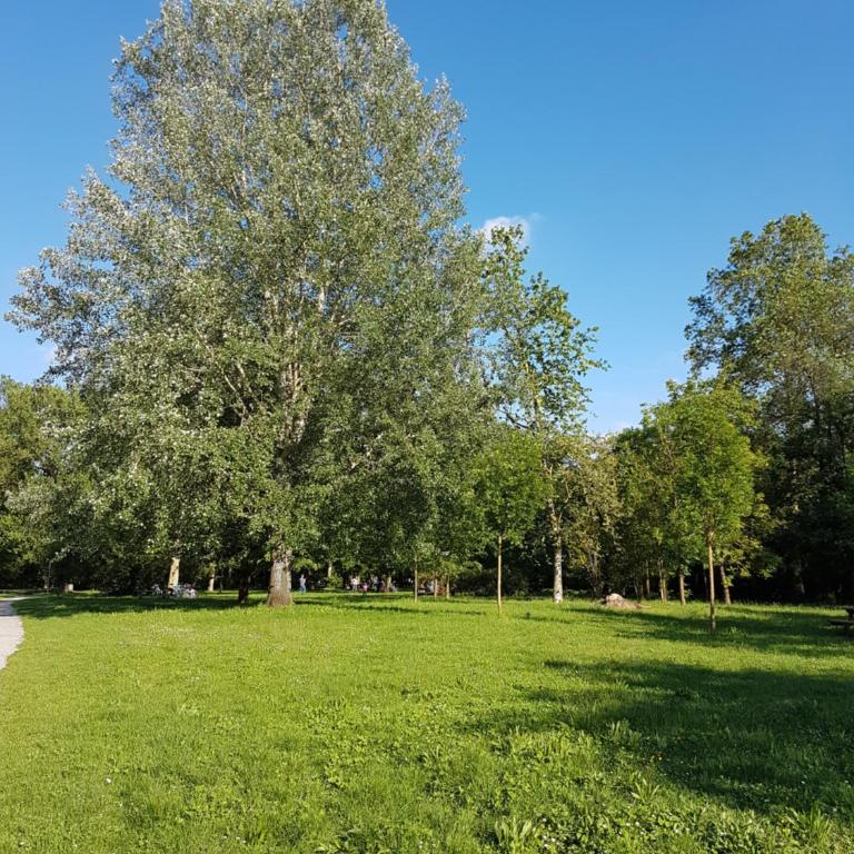 Monza Park Apartment - Appartamento con 1 Camera da Letto - 5
