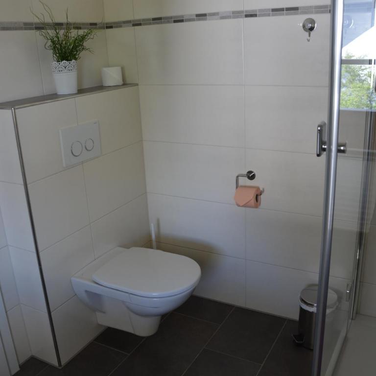 Appart Weisse Urlauben am Wolfgangsee - Studio Apartment with Balcony - 11
