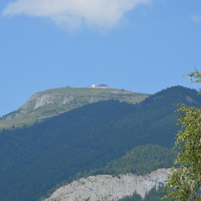 Appart Weisse Urlauben am Wolfgangsee - Two-Bedroom Apartment with Balcony - 2