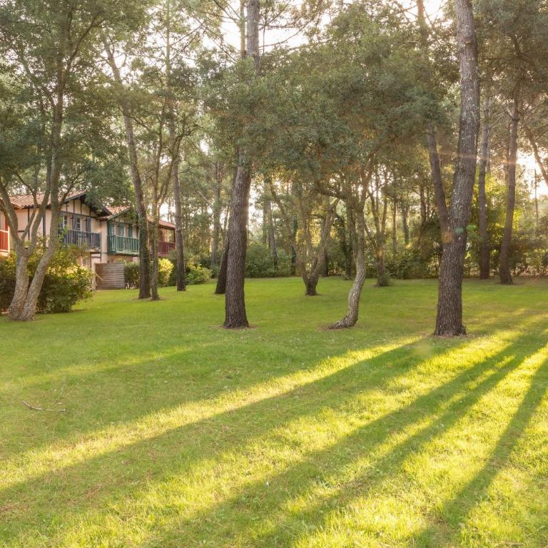 Residence Moliets - maeva Home - Studio Confort (5 Personnes) - 3