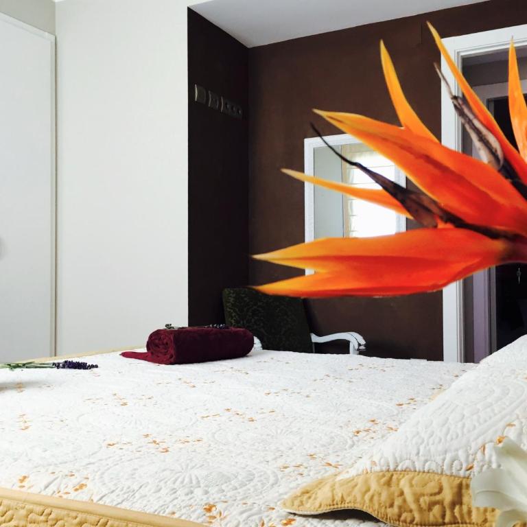 Lo Raconet - Apartment with Terrace - 18