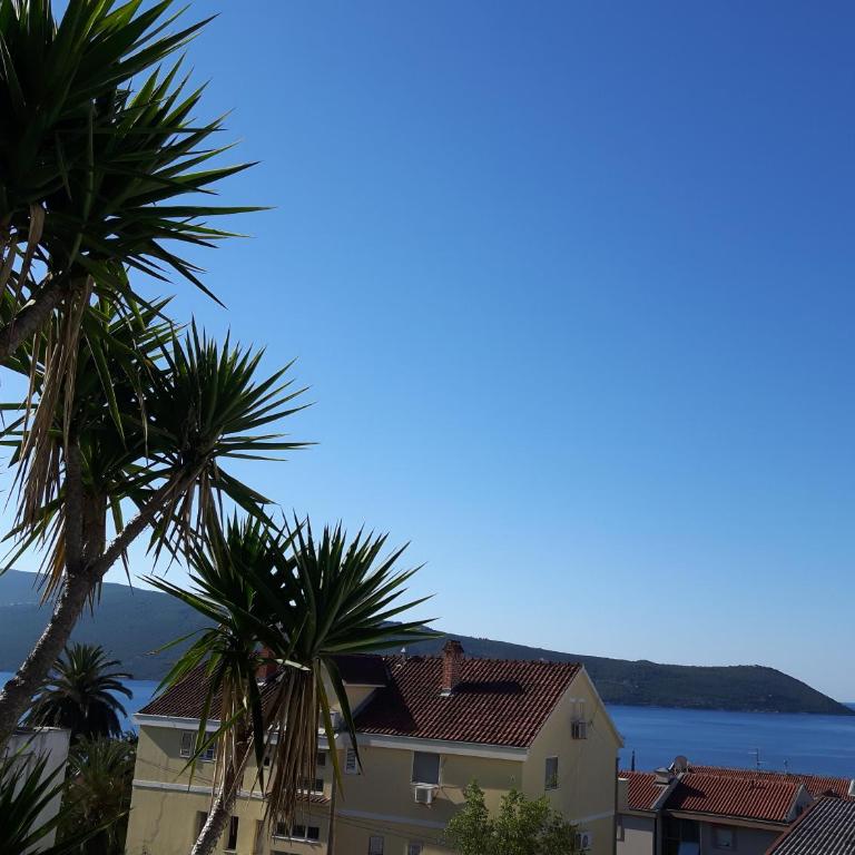 Studios Adriatic - One-Bedroom Apartment with Garden View - 3