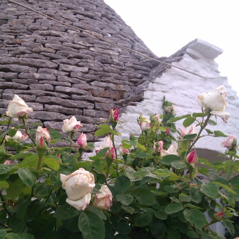 Trulli la casa di Rosa - Camera Matrimoniale - 17