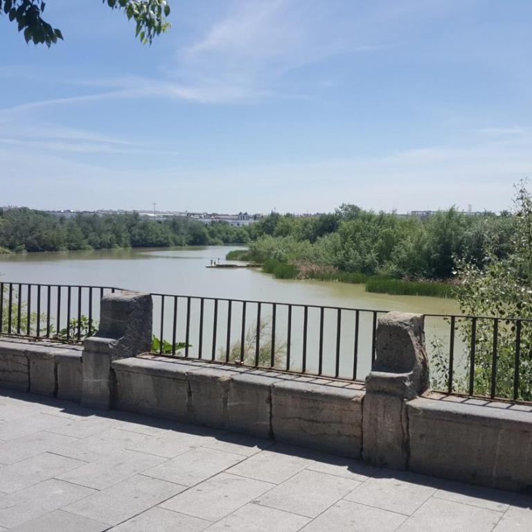 San Fernando Cordoba Centro - Apartamento de 1 dormitorio - 14
