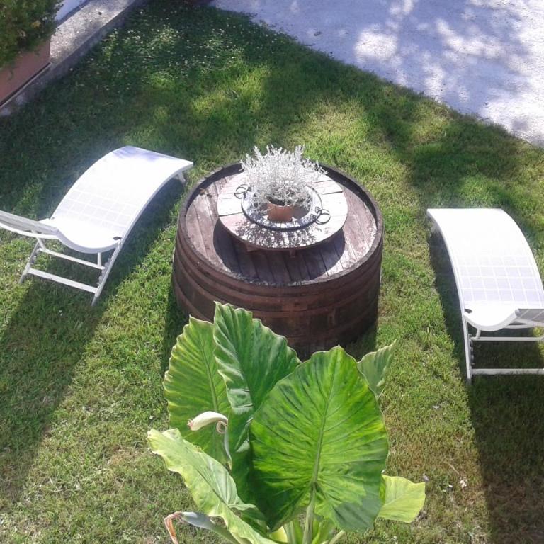 Il Patio Del Cilento - Monolocale King Deluxe - 6