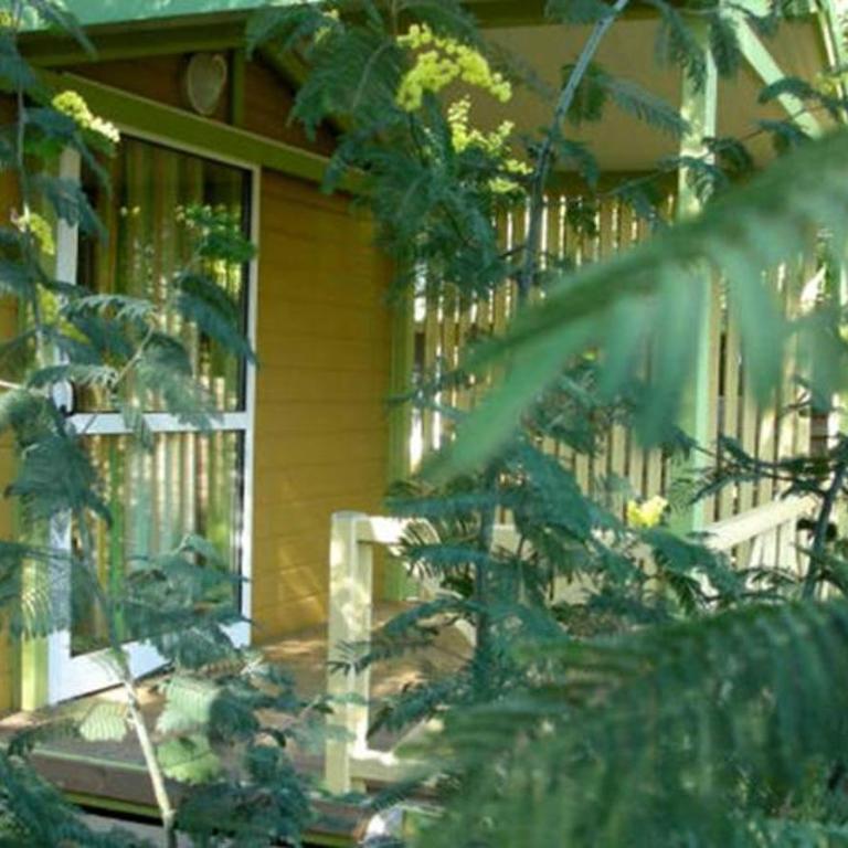 Camping Lou Cabasson - Chalet 1 Chambre - 3