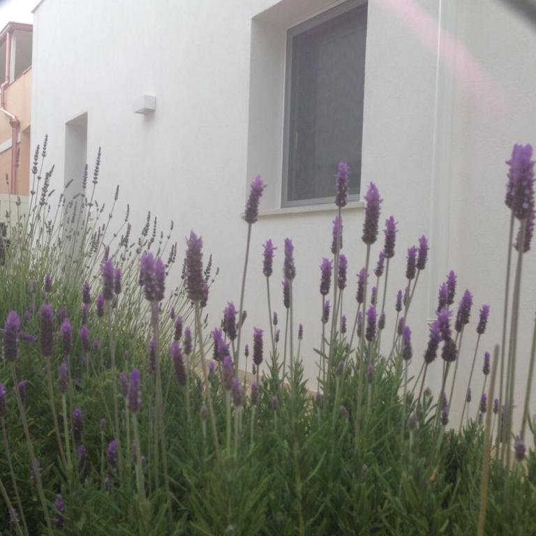 Borghetto Mediterraneo - Apartment mit 2 Schlafzimmern - 17