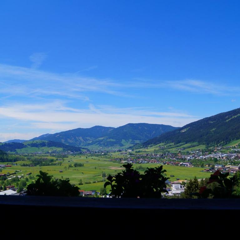 Sauschneidhof - Radstadt - Appartamento con Vista Montagna - 2