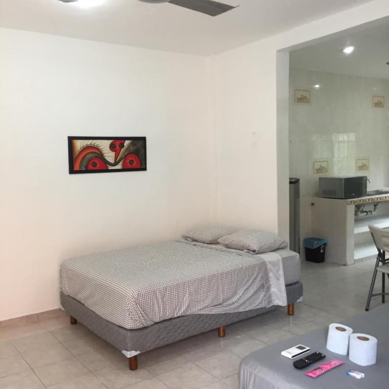 Roberto - One-Bedroom Apartment - 9