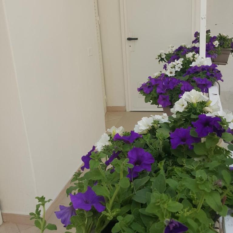 Matera Guest House - Camera Matrimoniale Deluxe con Balcone - 19