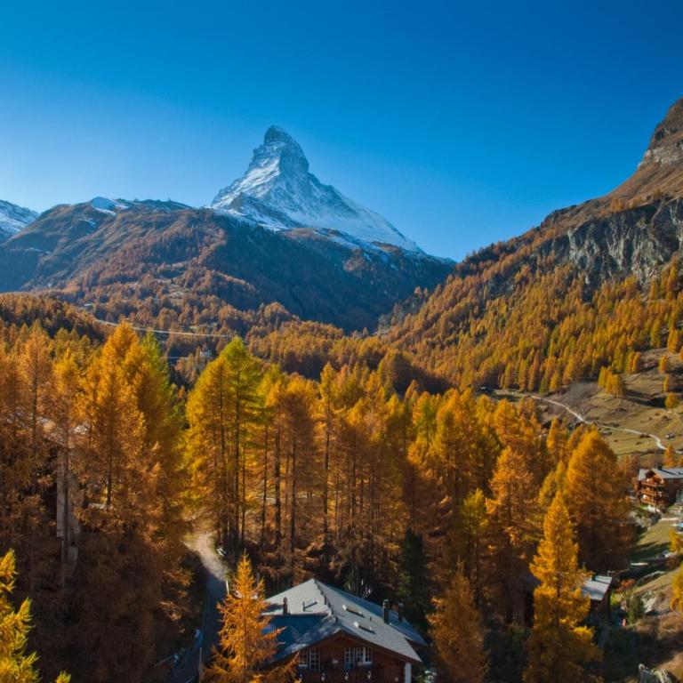 Chalet Z`Wichjehüs - Apartment mit 2 Schlafzimmern und Panoramablick - Dachgeschoss - 28