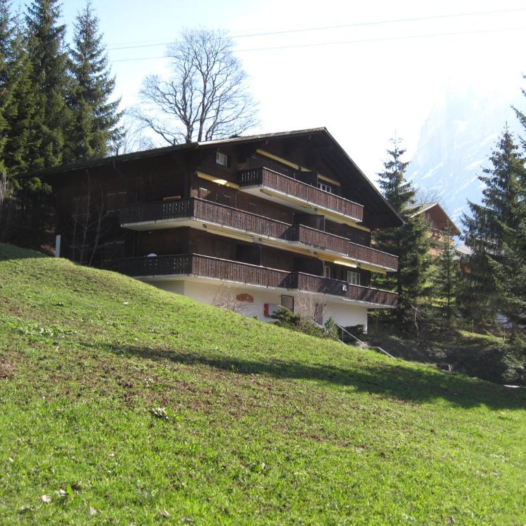 Superior Apartment 100m2 Bodmisonne - Grindelwald - Apartamento de 3 dormitorios - 8