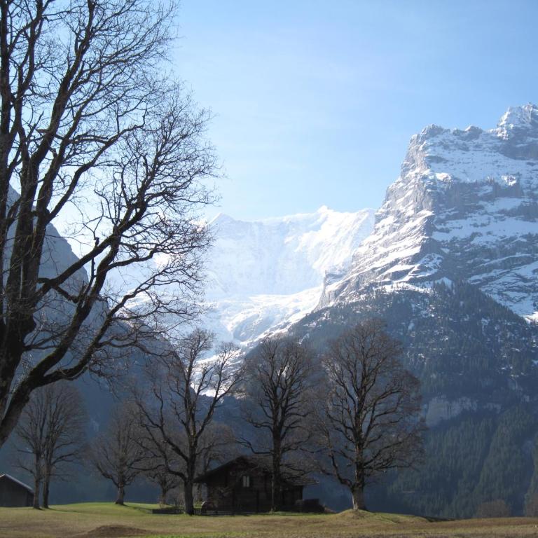 Superior Apartment 100m2 Bodmisonne - Grindelwald - Apartamento de 3 dormitorios - 7