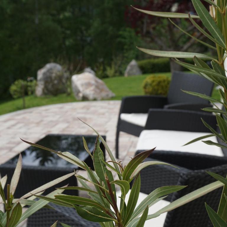Appartementhaus Fritz-Rosenkranz - Doppelzimmer mit Gartenblick - 4