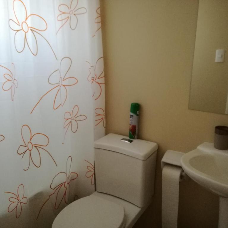 Condominio Los Robles Pucon - Vacation Home - 16