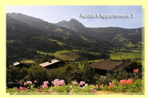 Haus Mitterlechner - Apartment mit 3 Schlafzimmern und Balkon - 12