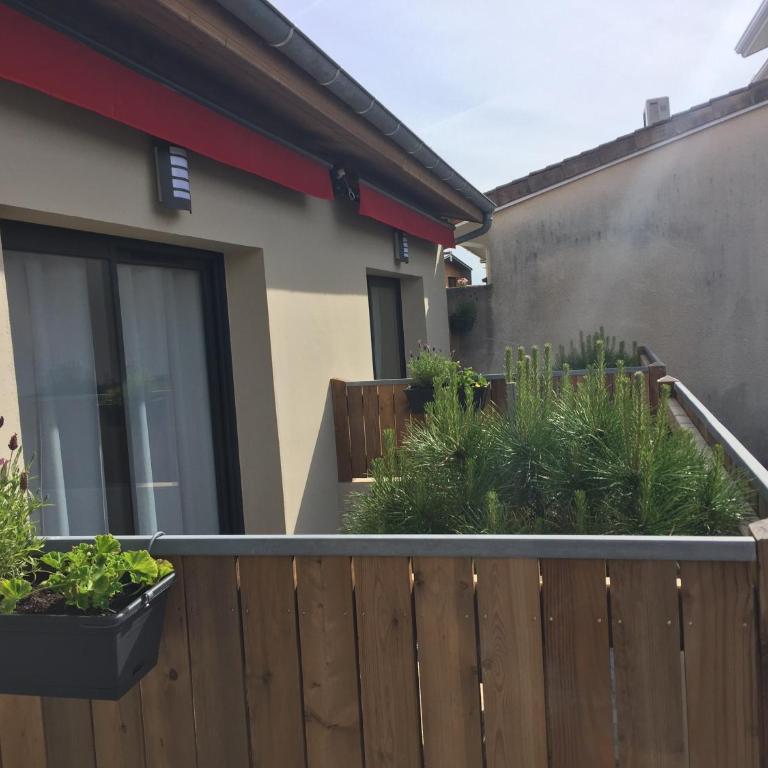 Les studios du Centre - Studio avec Terrasse - 21