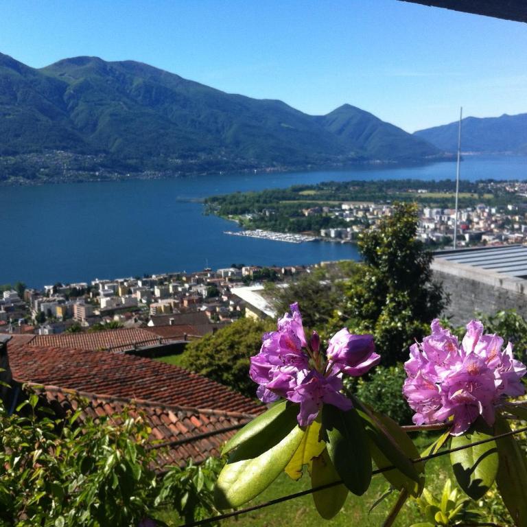 Sonnenstrahl - Apartment mit Seeblick - 3