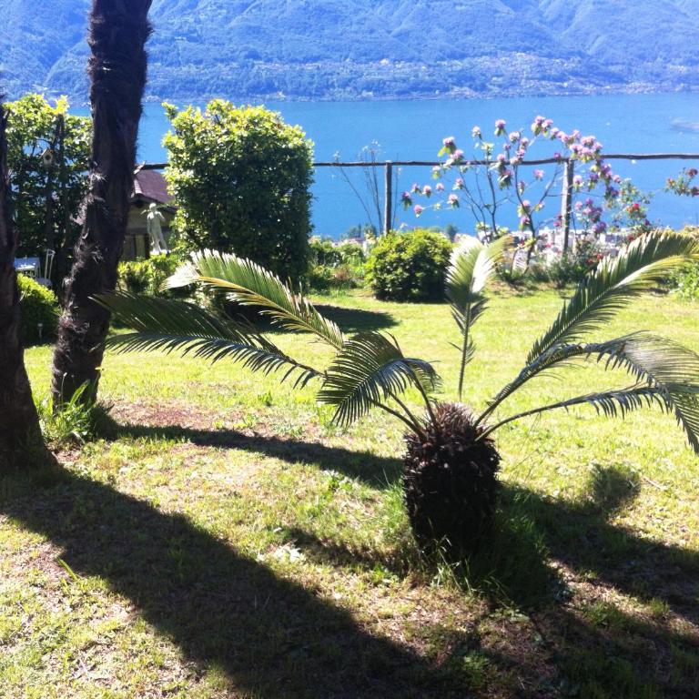 Sonnenstrahl - Apartment mit Seeblick - 12