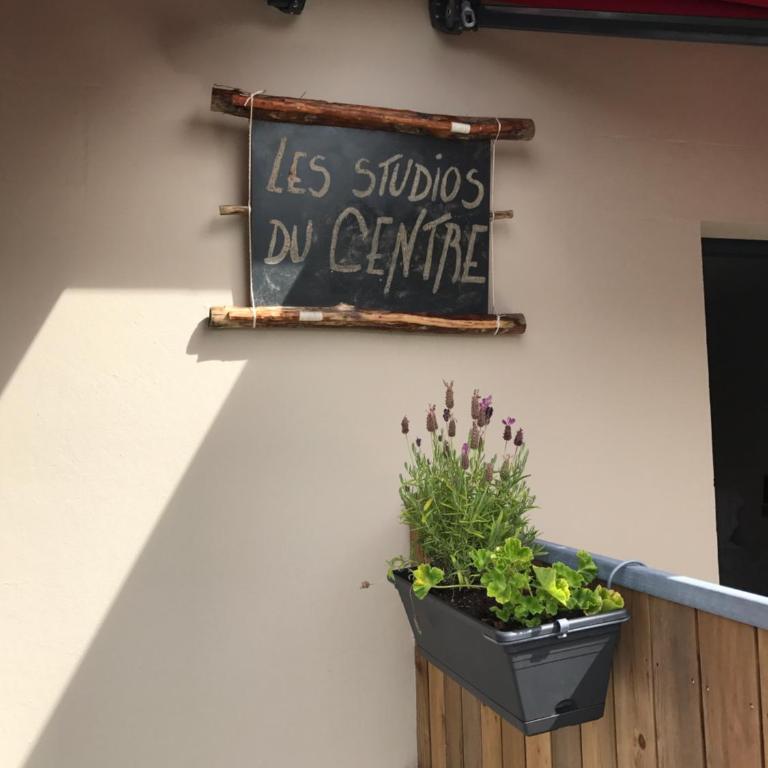 Les studios du Centre - Studio avec Terrasse - 15