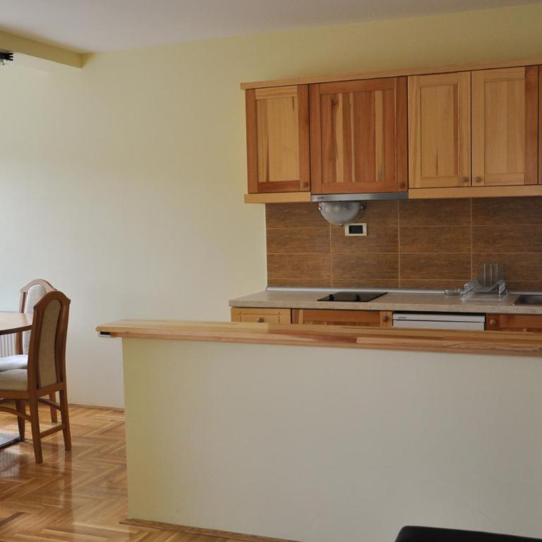 Apartmani Vidic - Apartment with Balcony - 14